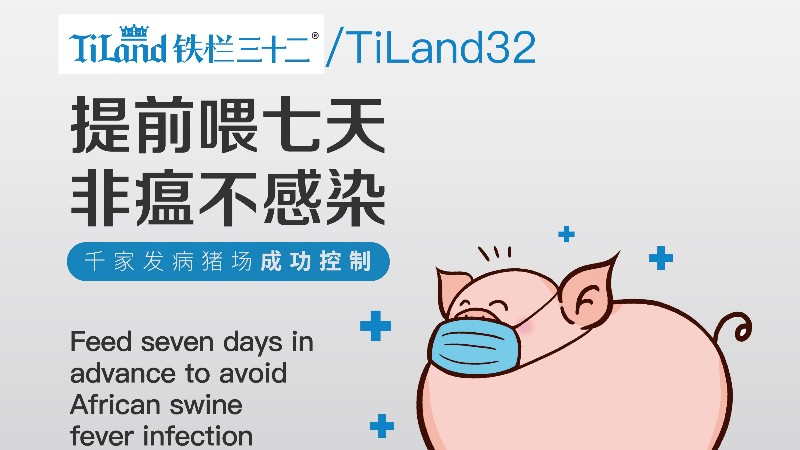 養殖戶該如何預防非洲豬瘟？